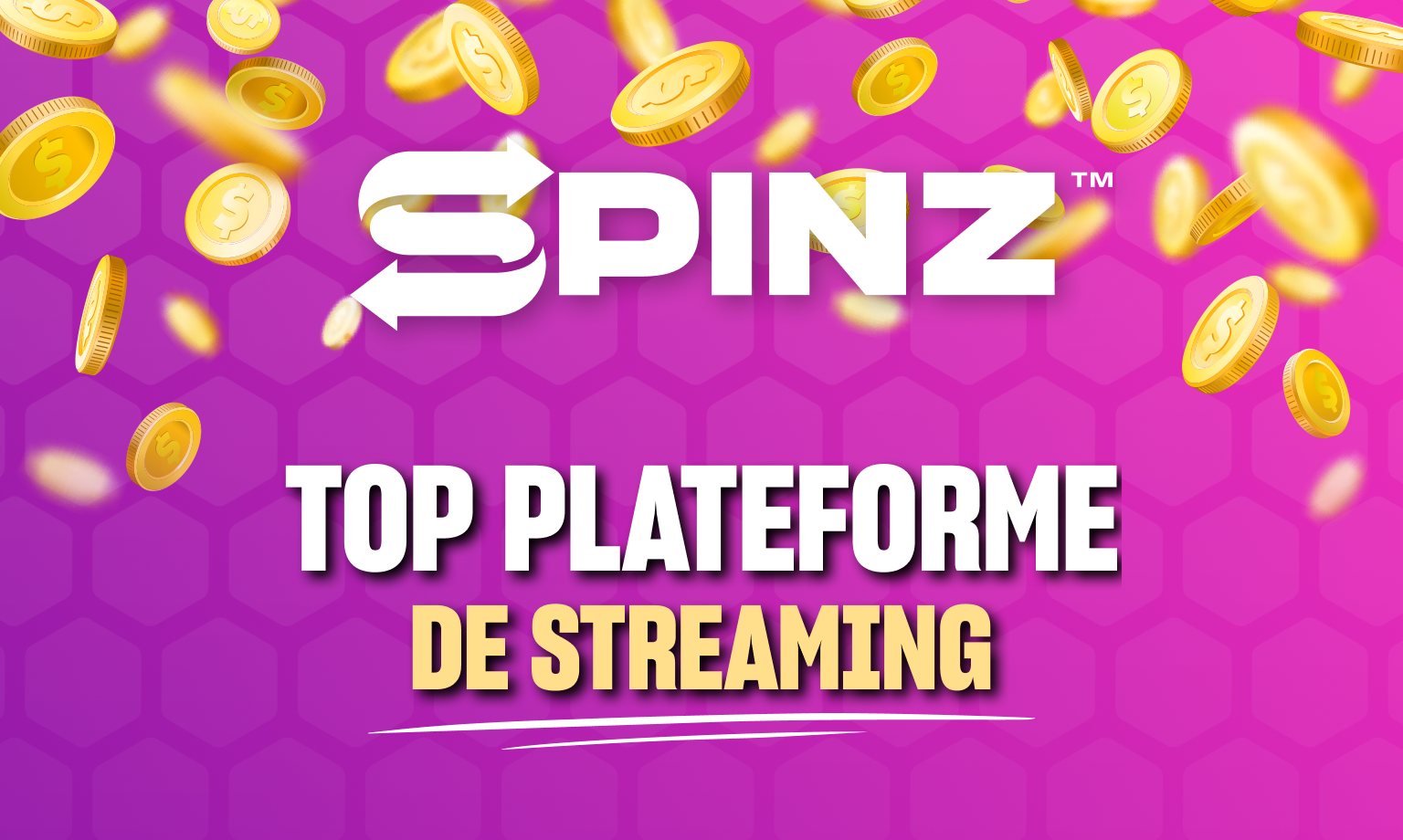 Logo Spinz