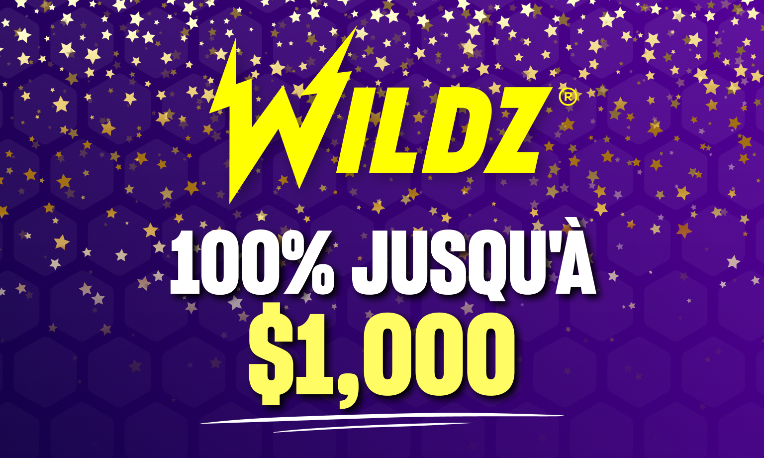 Logo Wildz casino